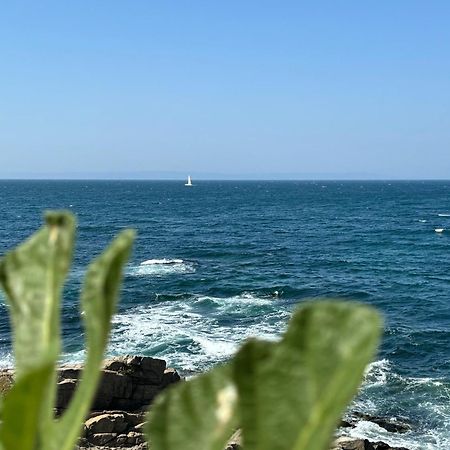 Hotel Melia Mar Sozopol Exterior foto